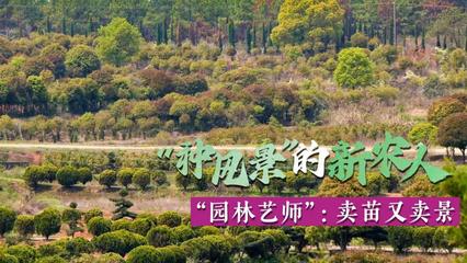 “種風景”的新農人 | “園林藝師” 賣苗又賣景，開啟園林綠化新篇章